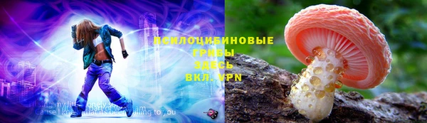 a pvp Алзамай