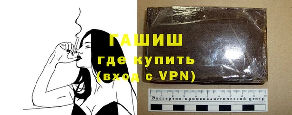 индика Переславль-Залесский