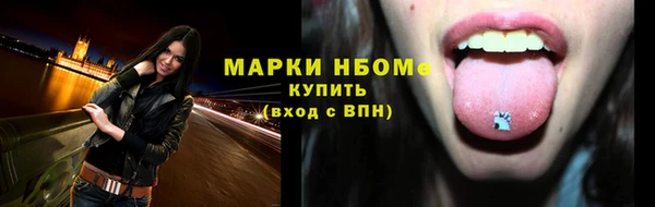 индика Переславль-Залесский
