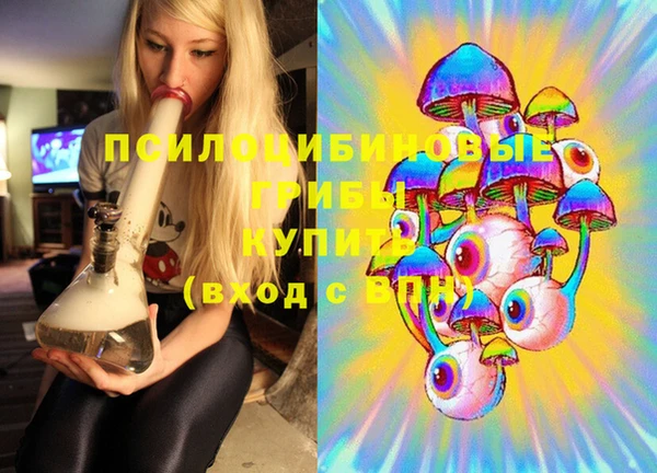 a pvp Алзамай